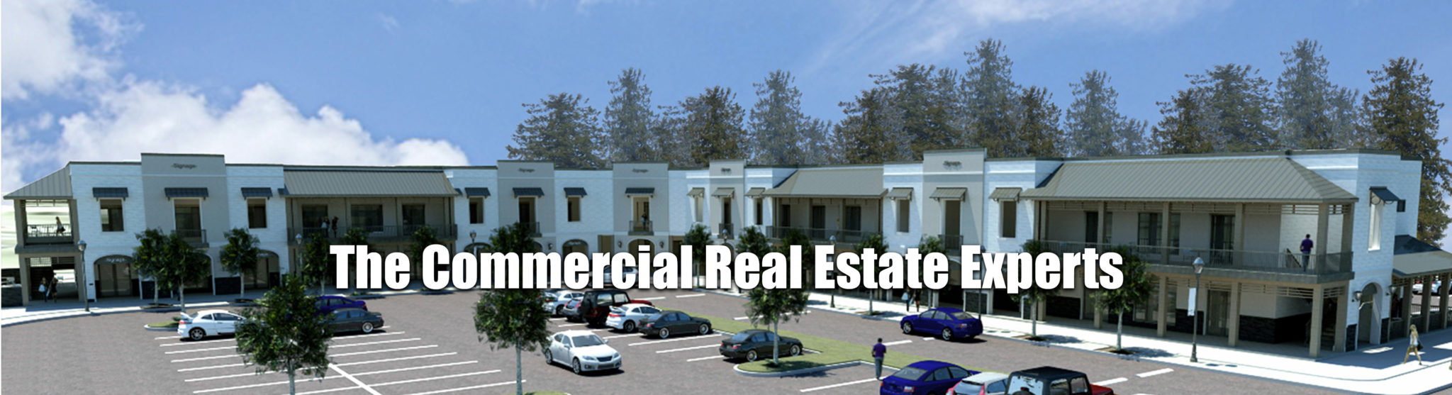 Lane Harkins Commercial Real Estate